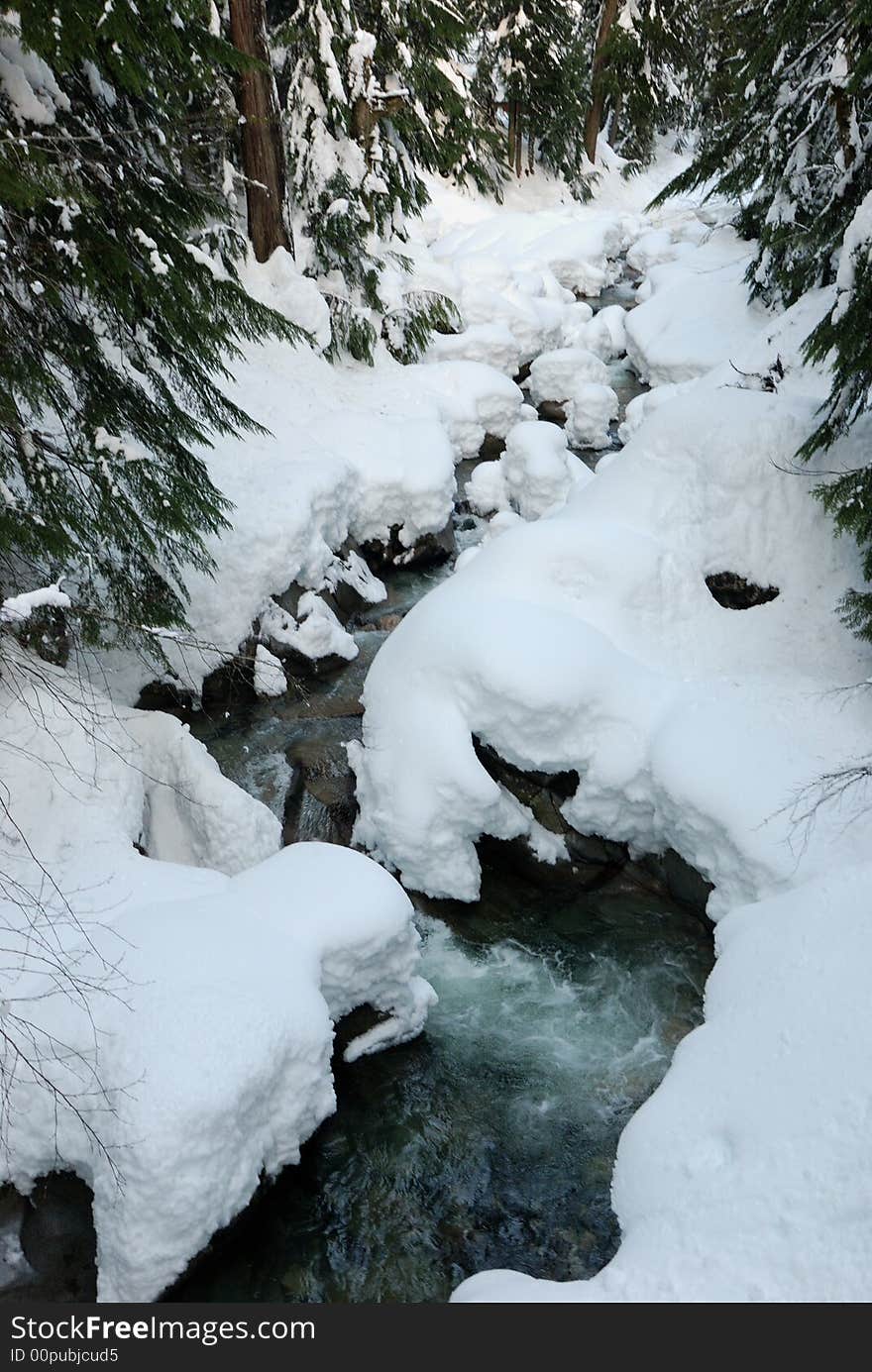 Heavy snow at Denny Creek in Washington State