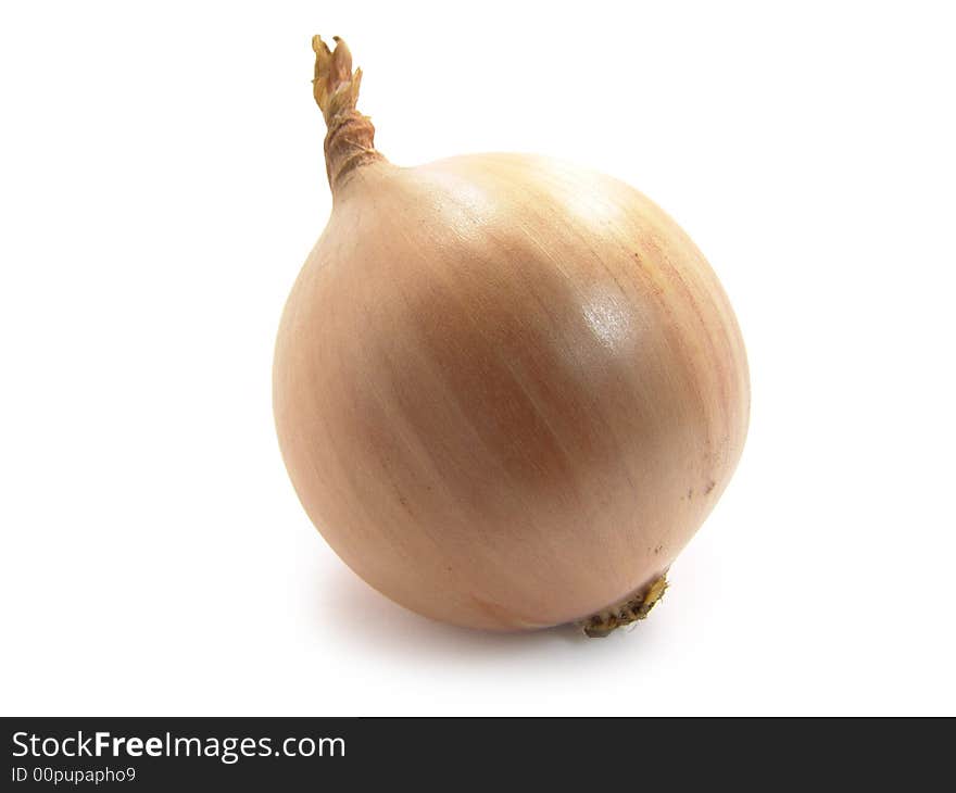 Bulb onion on a white background