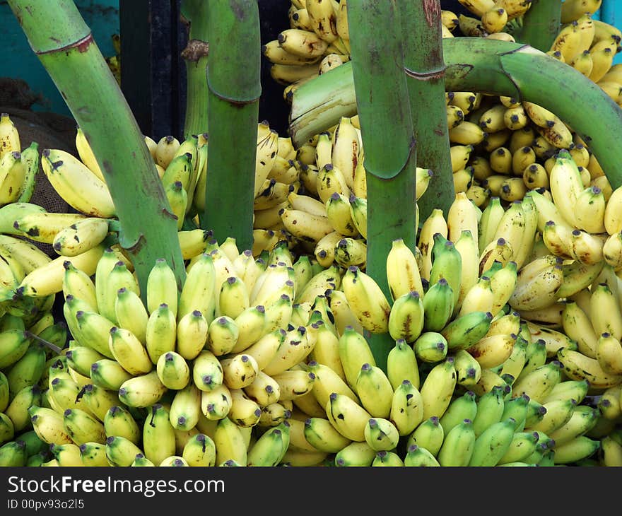 Bananas for sale in an indian market