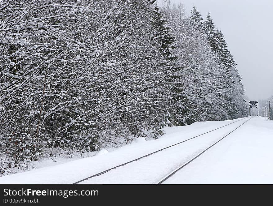 Rural winter scene of Railroad tracks and trees with bridge in background, covered in snow. Rural winter scene of Railroad tracks and trees with bridge in background, covered in snow