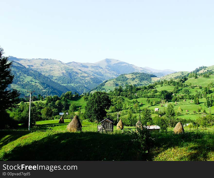 Landscape with a lot of grass and vegetation