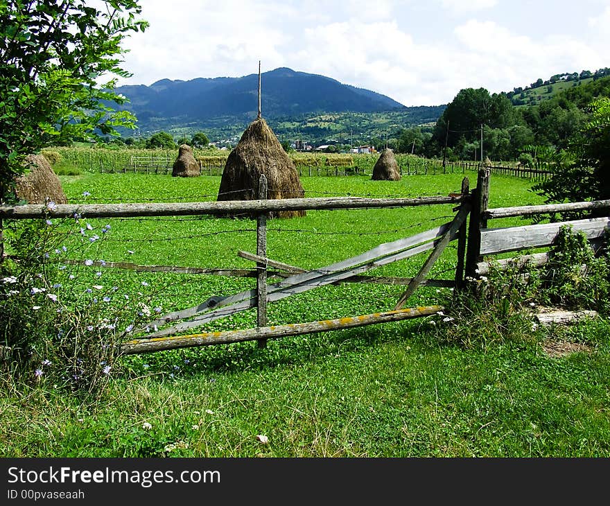 Mountain landscape