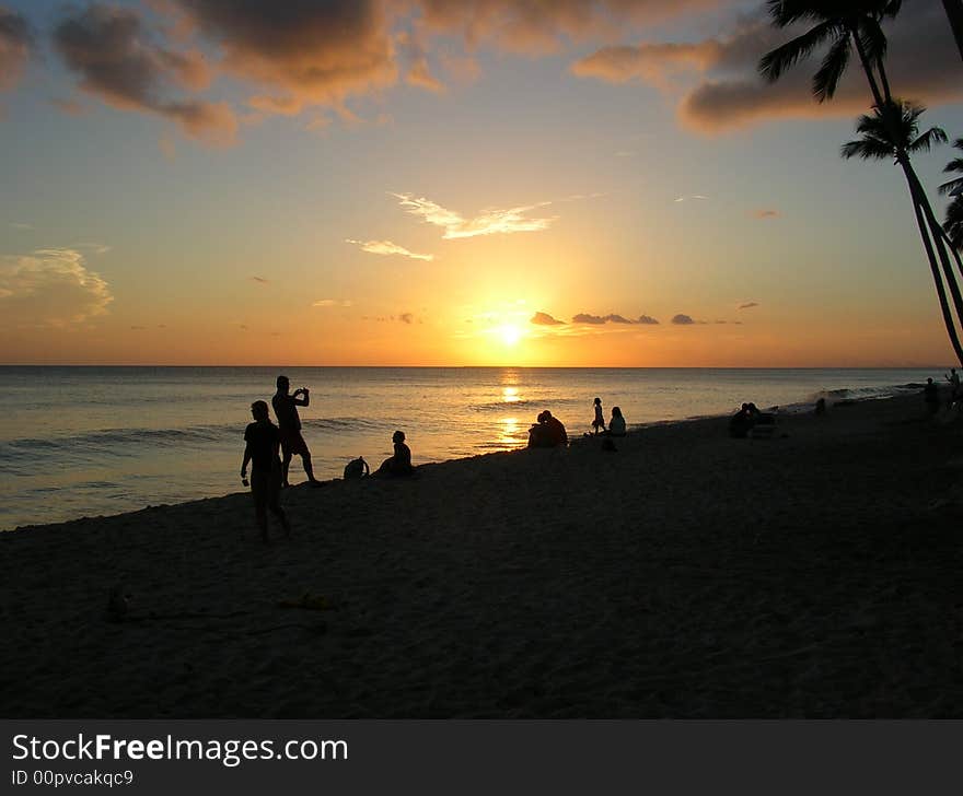 A tropical sea at the sunset. A tropical sea at the sunset