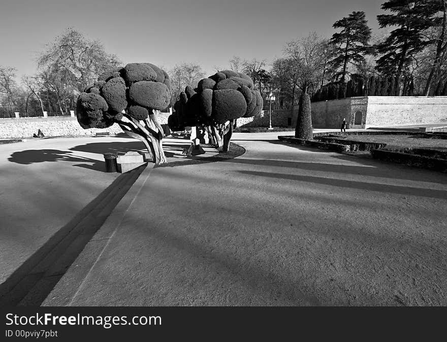 Retiro Park Shadows