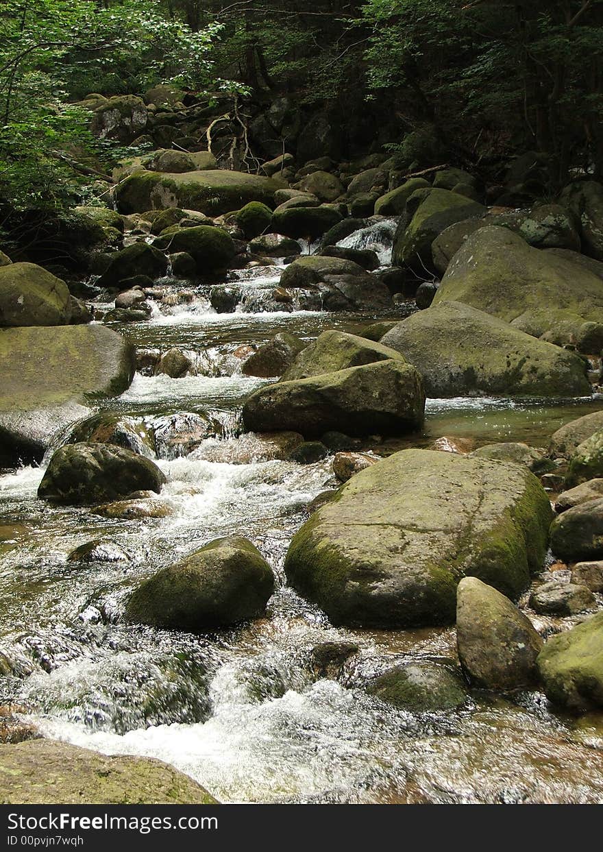 Brook In Mountain