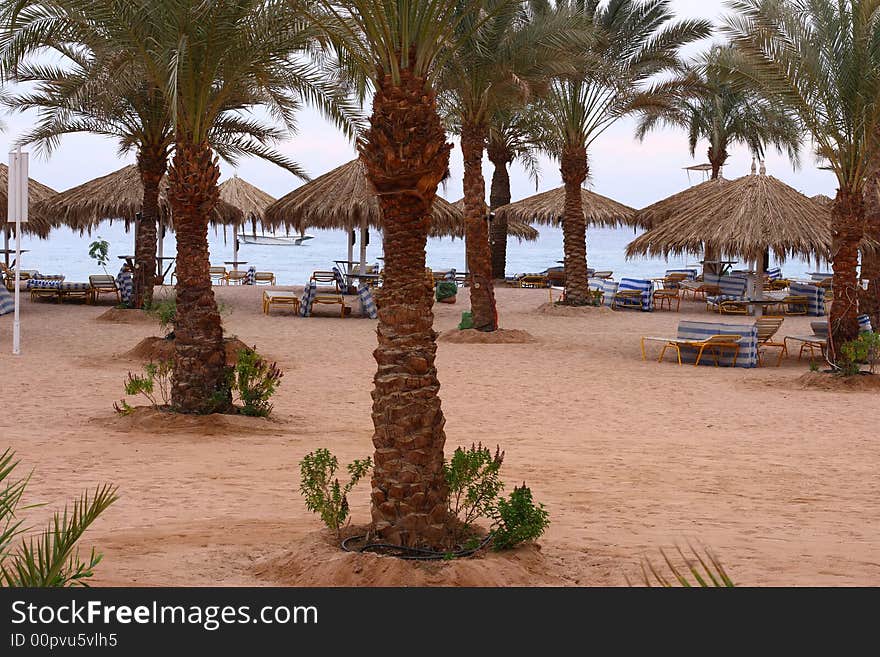 Beach in the evening, Egypt