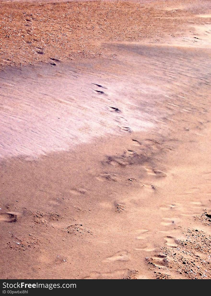 Footprints in the sand with ocean and sky in background. Footprints in the sand with ocean and sky in background