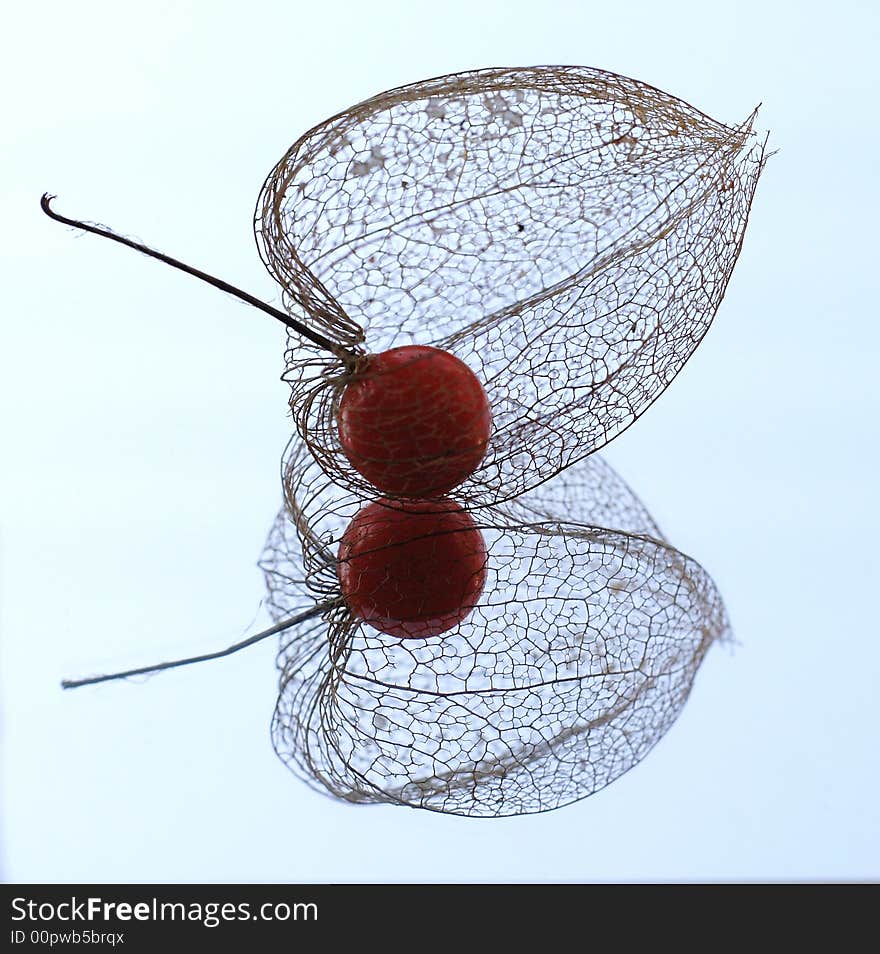 Reflection of chinese lantern