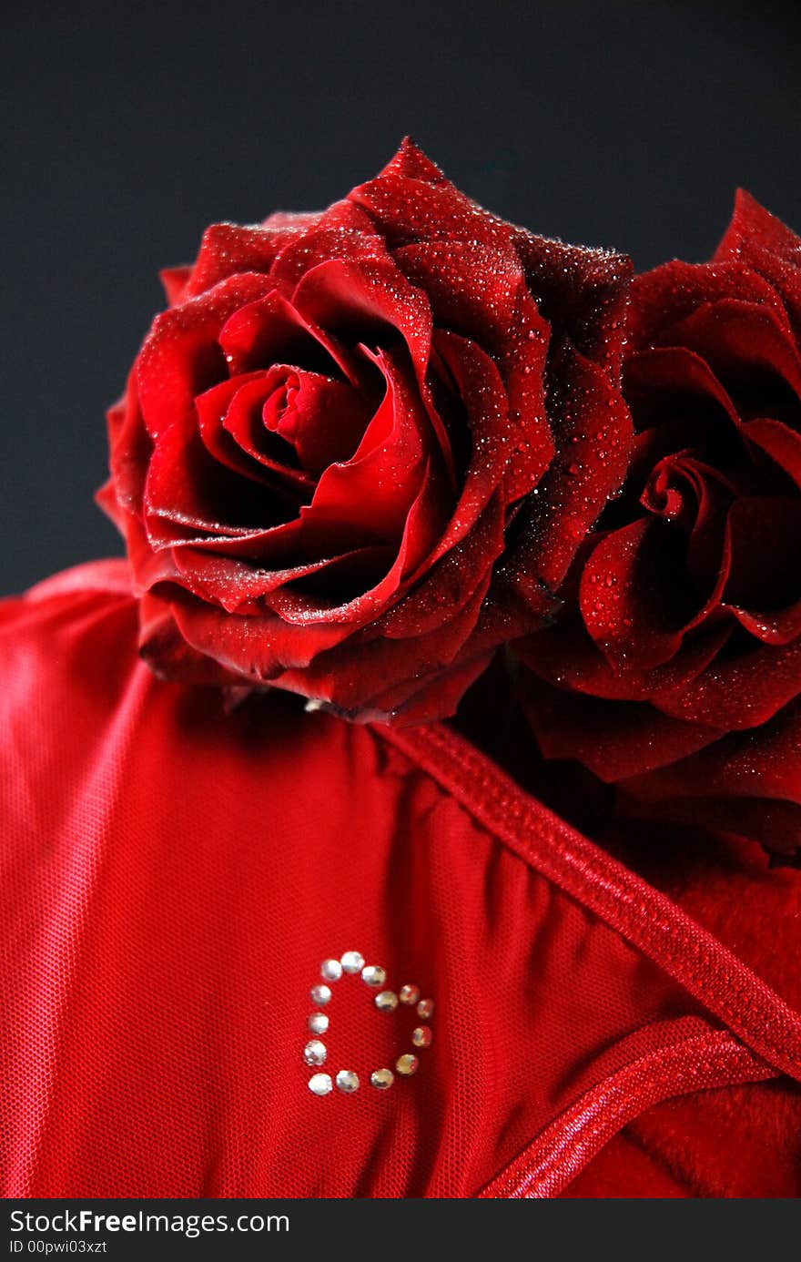 Red Roses on Cushion.