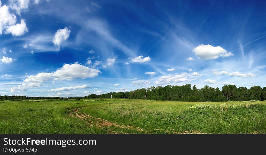 Summer landscape