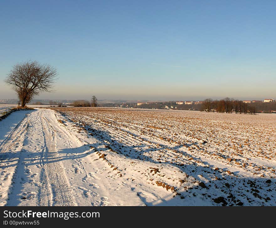 Winter In Countryside