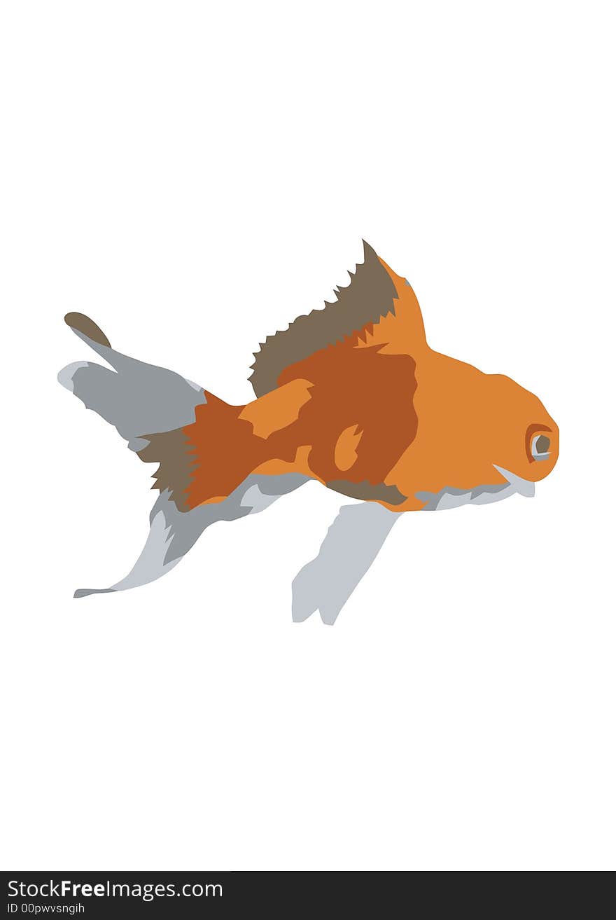 Goldfish Illustration JPEG and Vector