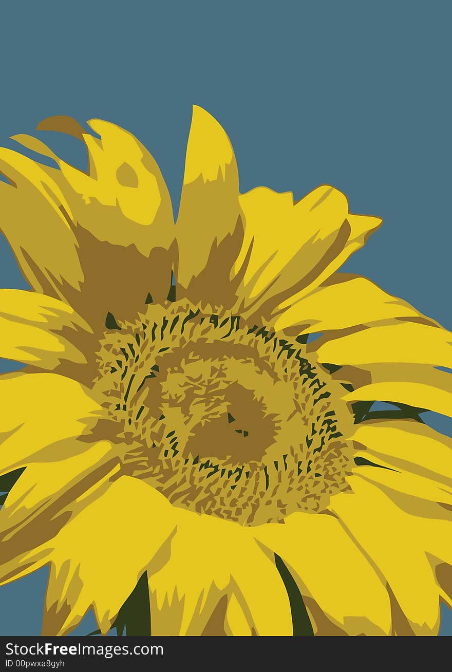 Sunflower with Blue background