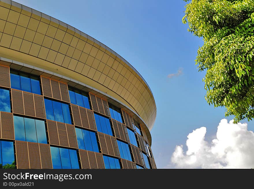 Building and tree