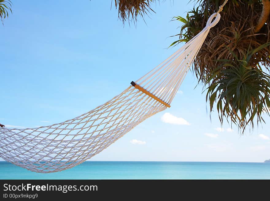 View of nice white hammock hanging between two palms. View of nice white hammock hanging between two palms