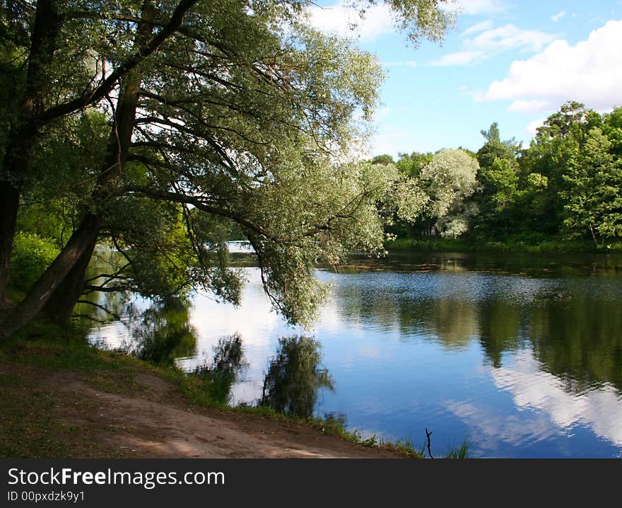 Summer landscape with a small lake