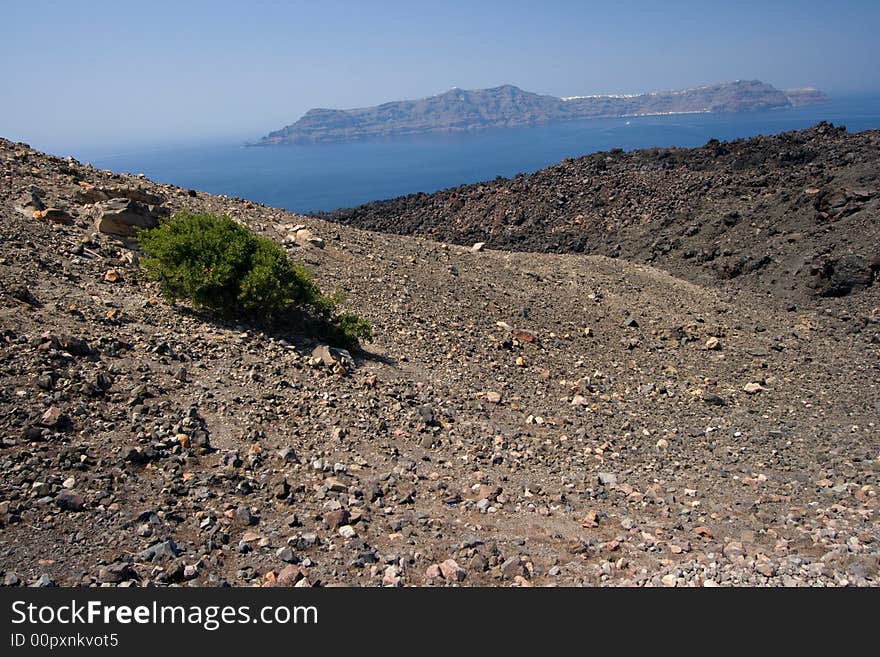 One Green Tree on top of a volcano in Santorini Greece. One Green Tree on top of a volcano in Santorini Greece