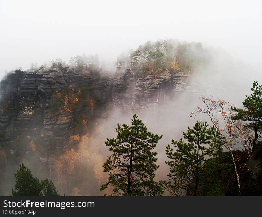 Forest in haze in autumn. Forest in haze in autumn