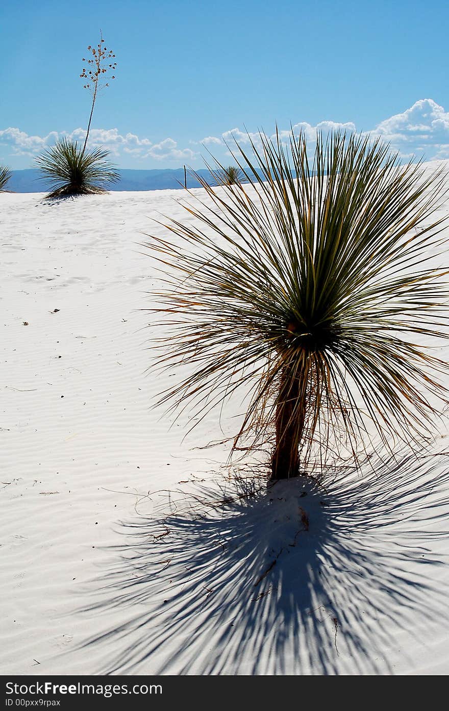 White Sands National Park