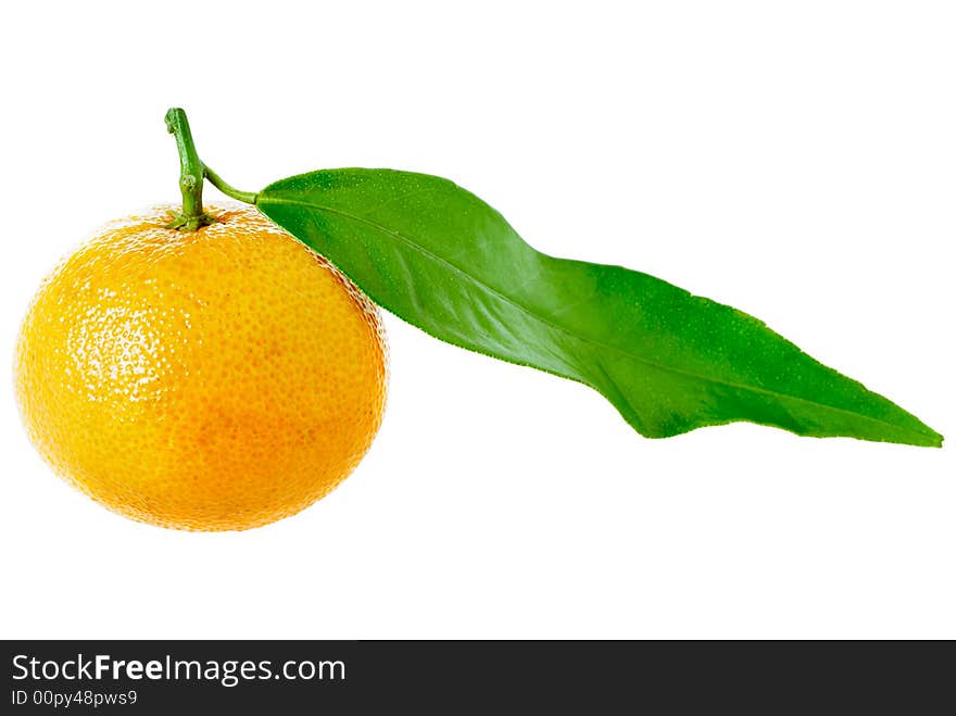 Tangerine with Leaf