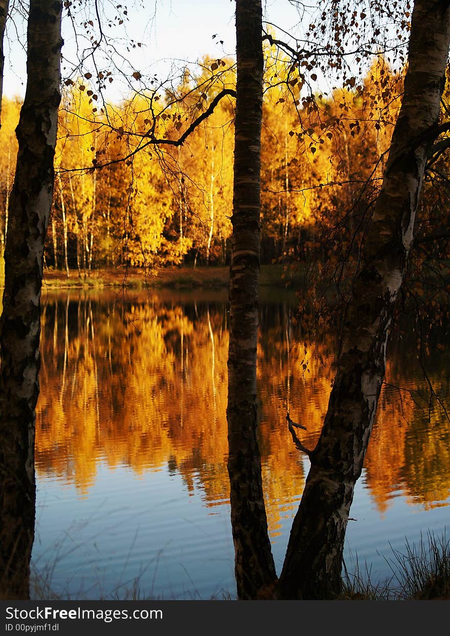 Walking in autumn pond thick colours