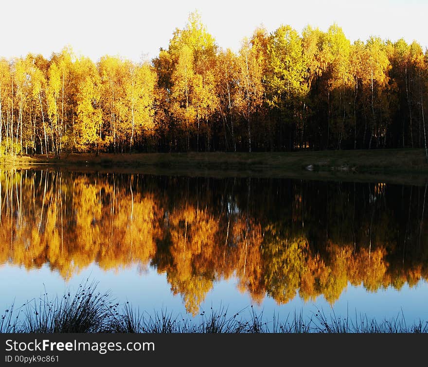 Walking in autumn pond thick colours