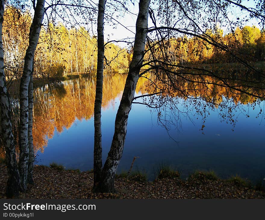 Walking in autumn pond thick colours