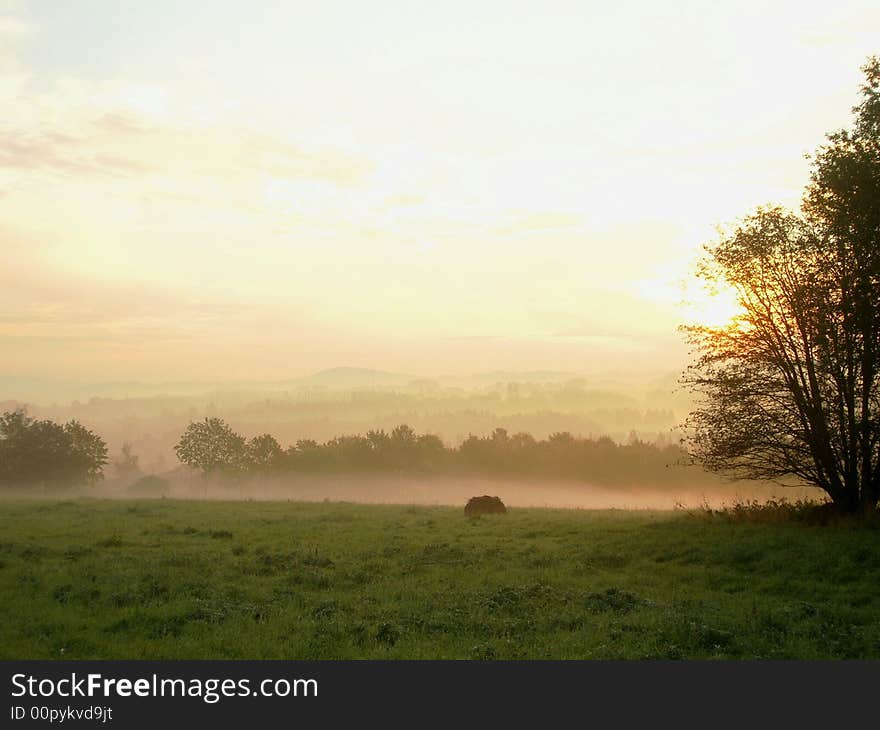 Summer haze early in the morning