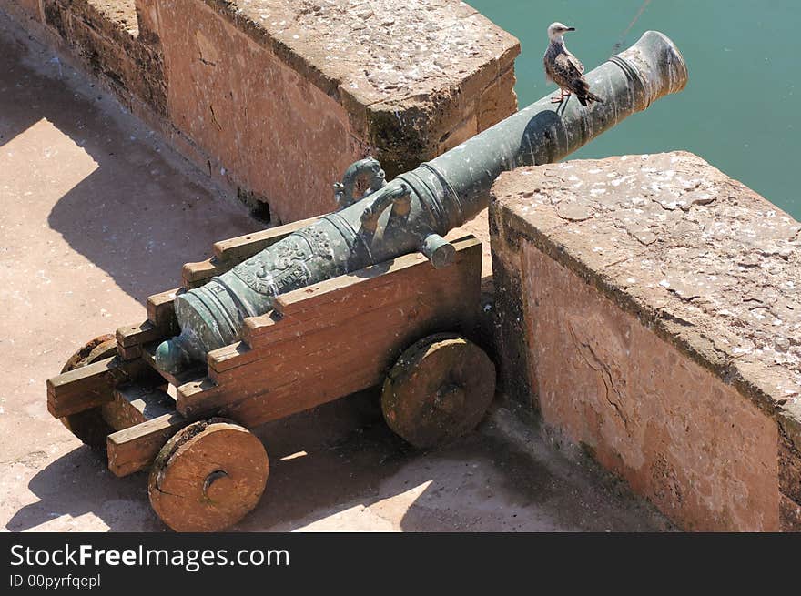 Morocco, Essaouira: seagull on a very old bronze cannon pointing to the ocean. Morocco, Essaouira: seagull on a very old bronze cannon pointing to the ocean