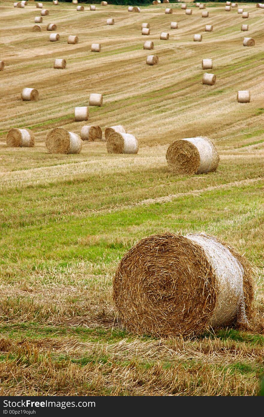 A scenic view in the irish countryside. A scenic view in the irish countryside