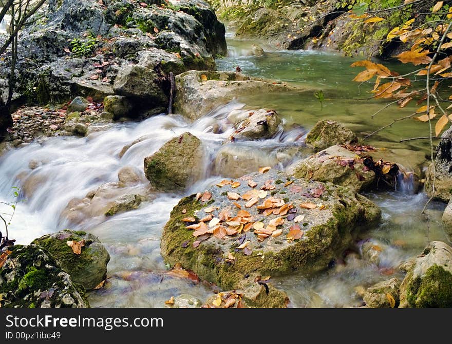 Autumn stream with yellow leaves on stone