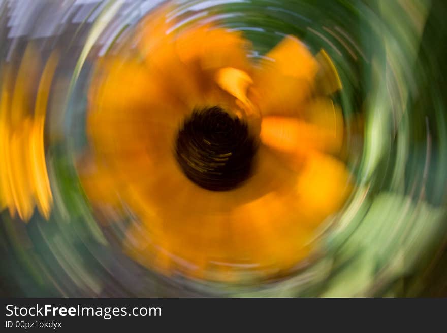 Abstract macro close-up of sunflower with radial zoom effect. Abstract macro close-up of sunflower with radial zoom effect