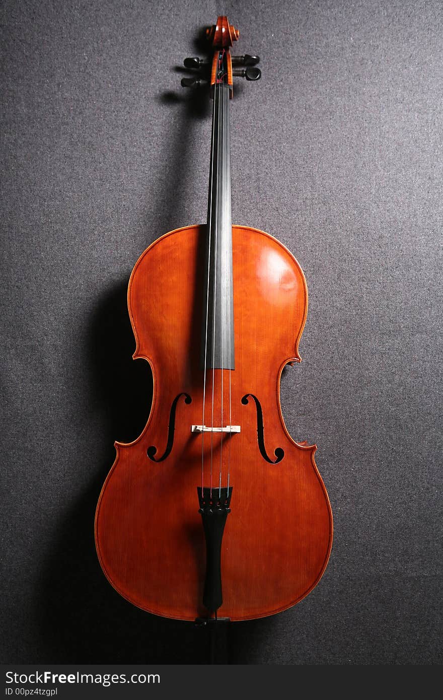 Classical musical instrument. This instrument was made in Prague in XX century. Classical musical instrument. This instrument was made in Prague in XX century.