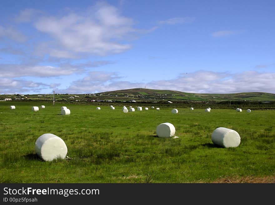 A field of bales in the west of ireland. A field of bales in the west of ireland