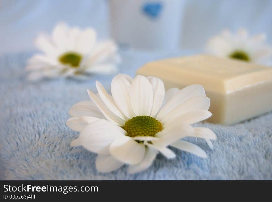 Three white daisies and a soap on a blue towel. Three white daisies and a soap on a blue towel