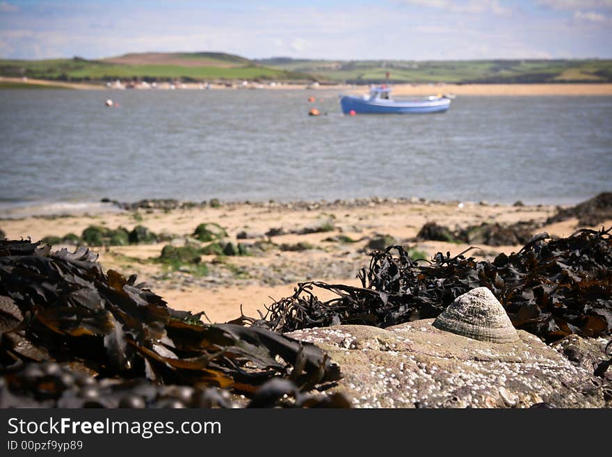 Fishing boat at anchor in an estuary with seaweed and shell foreground. Fishing boat at anchor in an estuary with seaweed and shell foreground