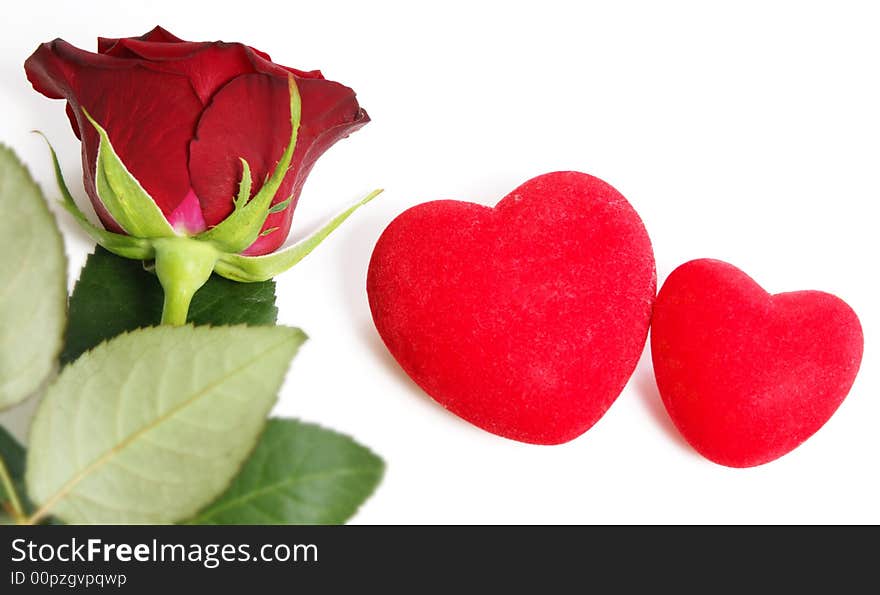 Single red rose with hearts on a white background. Single red rose with hearts on a white background