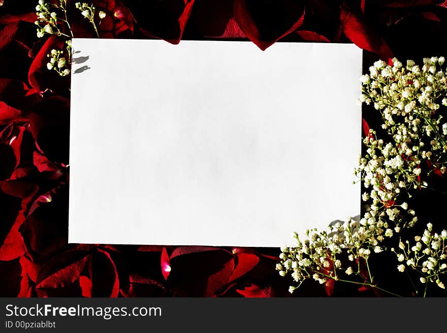 White Paper Over Red Petals