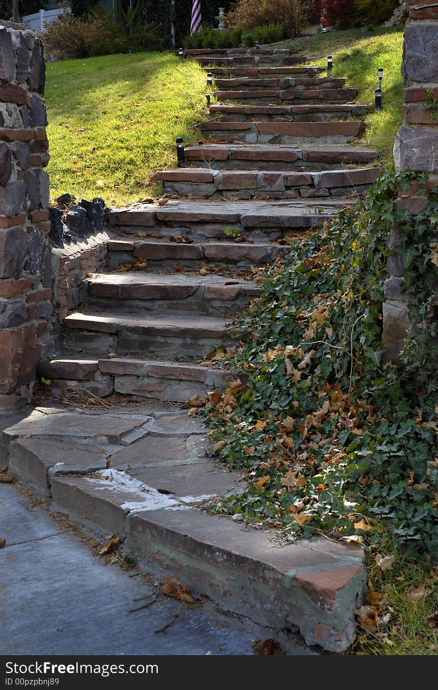 Old stone stairway with plants and leaves