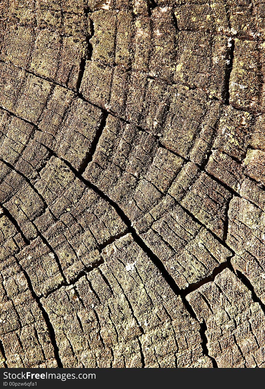 Wood