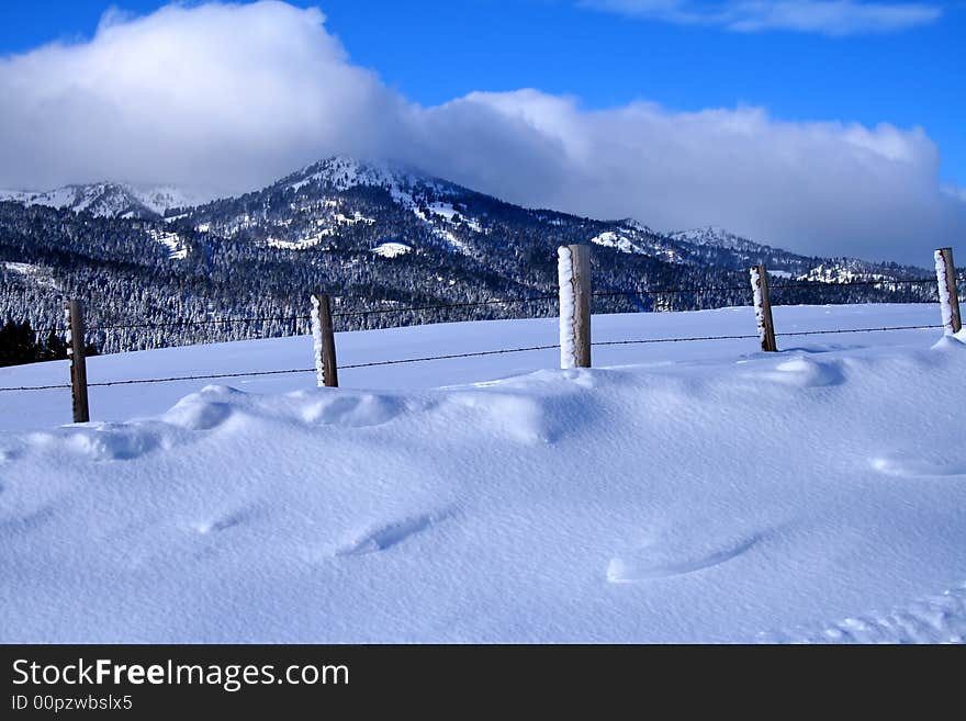 Snowy Mountain View