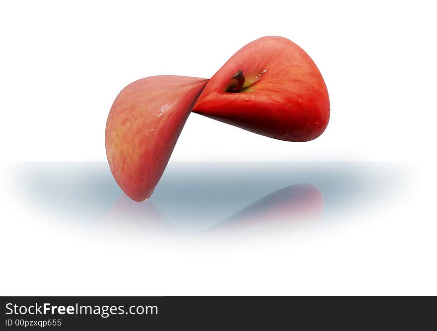 Apple is illustrated in twisted form. Apple is illustrated in twisted form