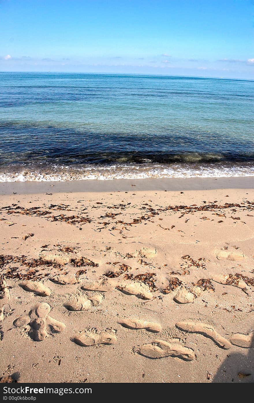 Footprints on the beach during the winter