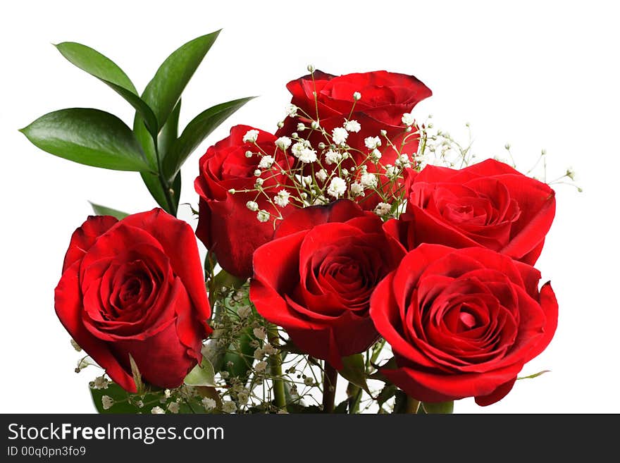 Bunch of Beautiful Red Roses on a White Background. Bunch of Beautiful Red Roses on a White Background