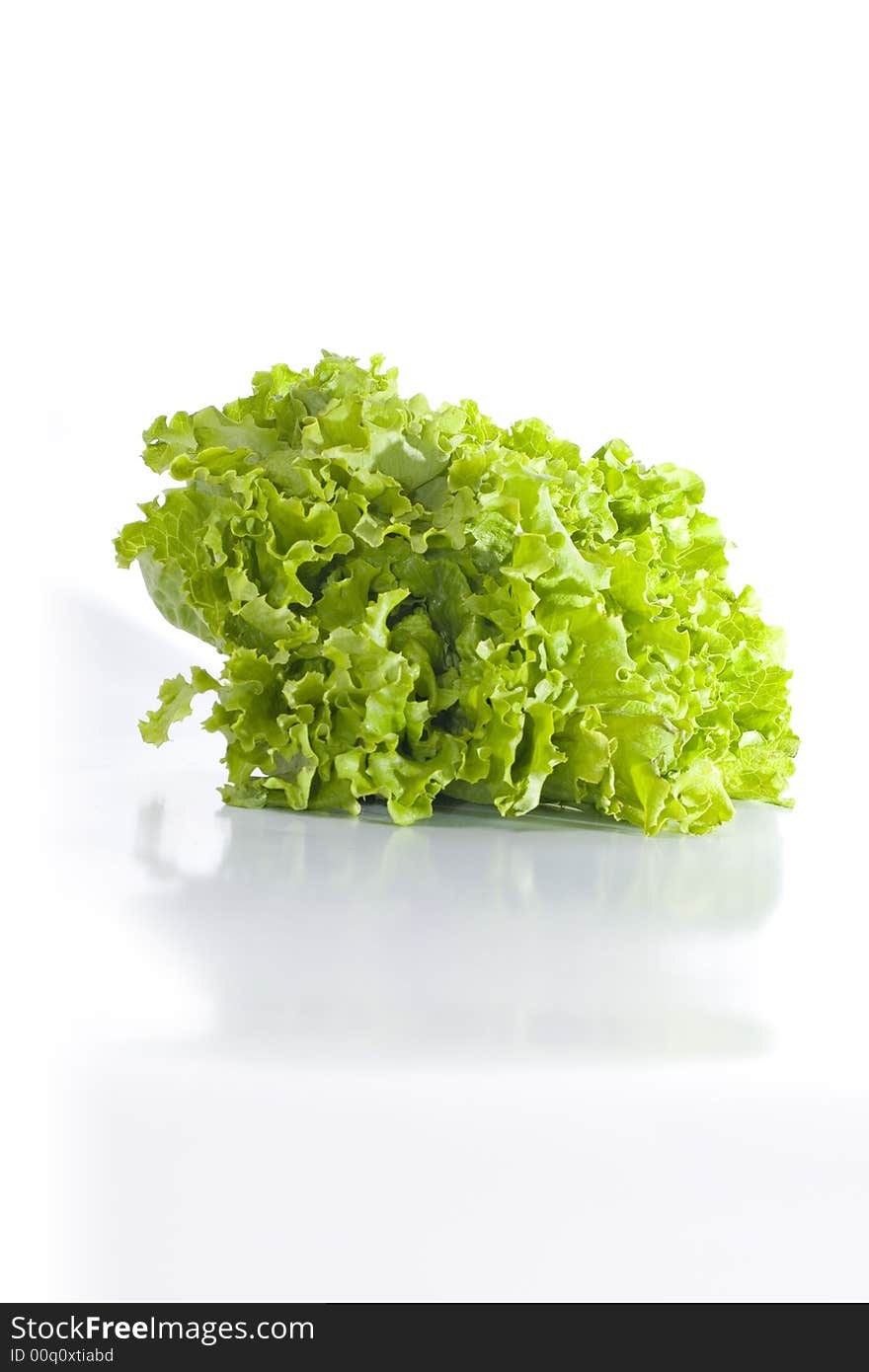 Isolated green lettuce reflecting on glossy white surface