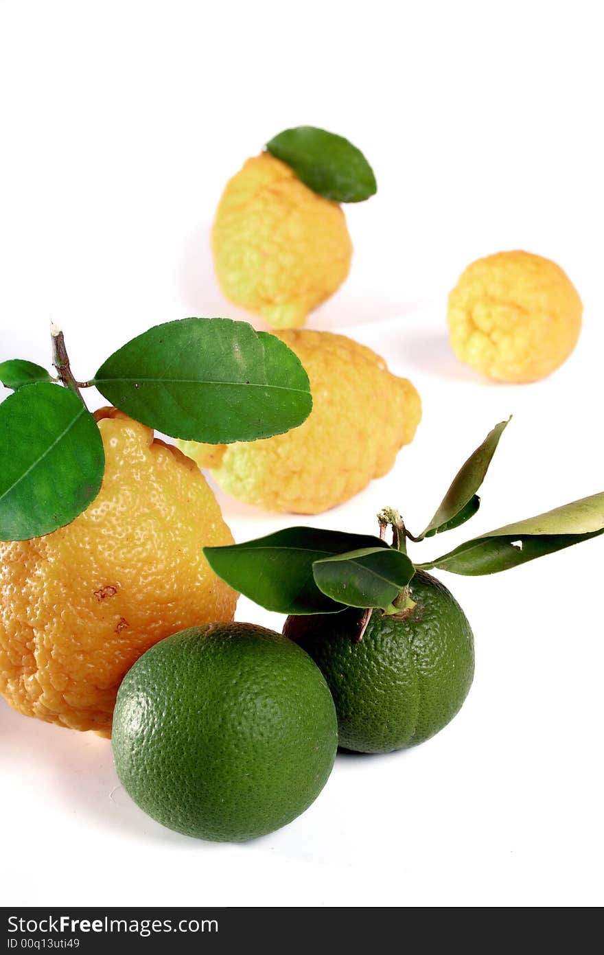 Collection of lemons isolated on a white background.