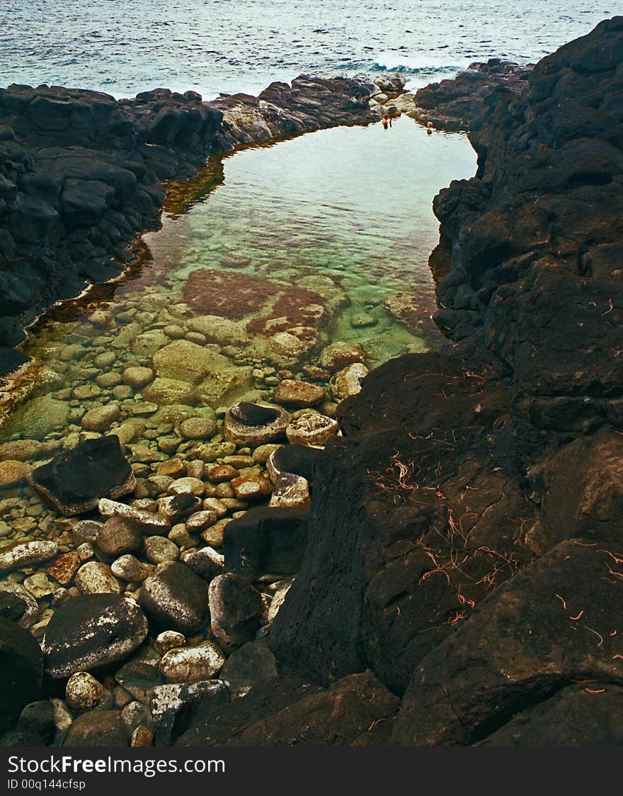 Kauai Coastal Black Lava Rock Pool