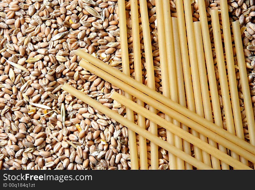 Macaroni pieces on raw wheat seeds. Macaroni pieces on raw wheat seeds