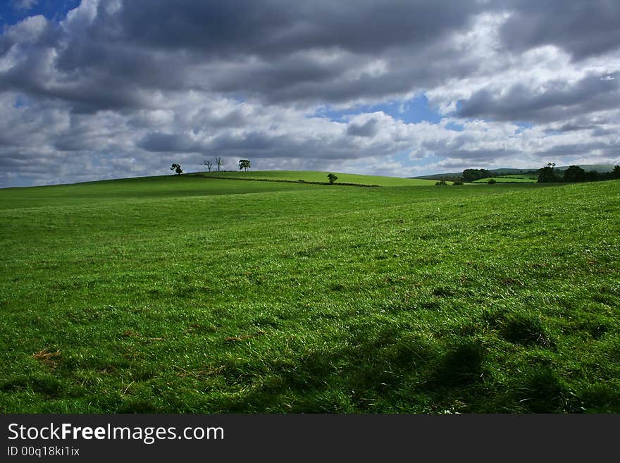 Green fields surrounded by distant hedges. Green fields surrounded by distant hedges.