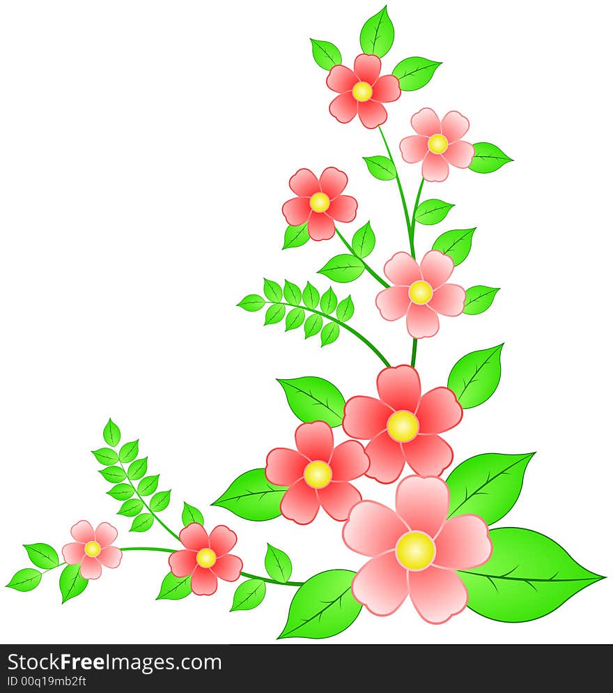 Vector illustration of flowers over white background